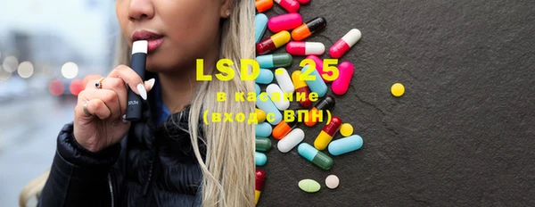 ECSTASY Горняк
