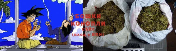 первитин Гусиноозёрск