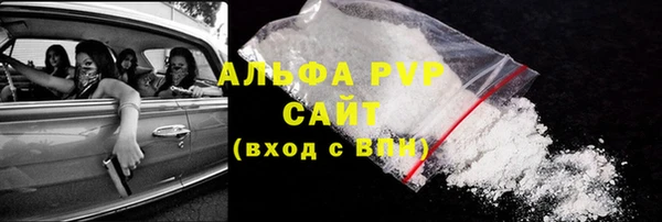 спиды Гусев