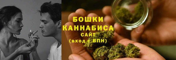 ECSTASY Горняк