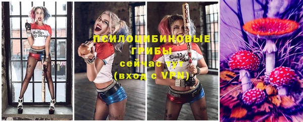 молекула духа Горно-Алтайск