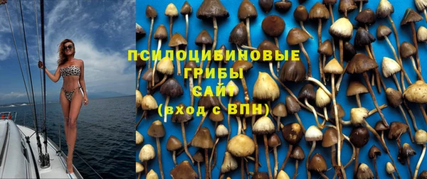 ECSTASY Горняк
