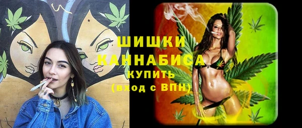 спиды Гусев