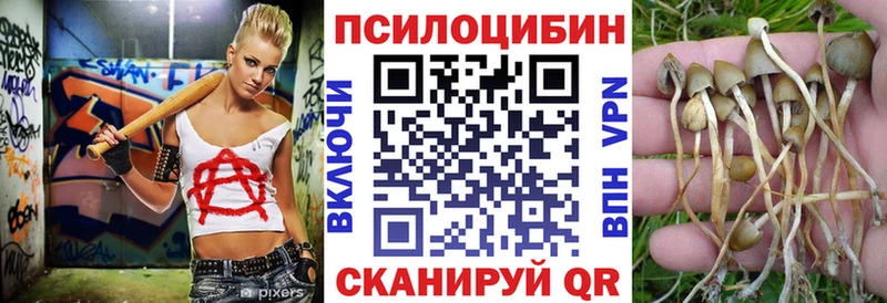 Галлюциногенные грибы Psilocybine cubensis  Купить  Мыски 